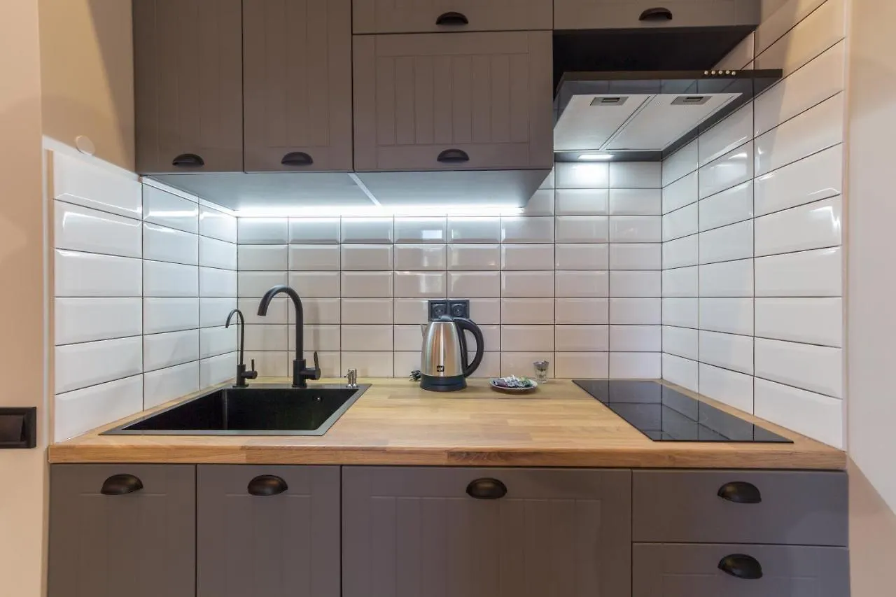 Loft Design Apartments Near Maidan Kyiv Ukraine
